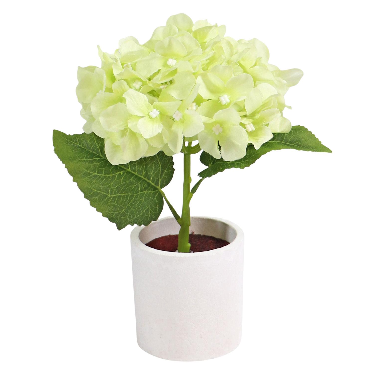

Белая гортензия в горшке, комнатные растения, фестиваль, вечеринка, свадьба, свадебное оформление на улице/в помещении, коридор, добавить зелени светло-зеленый