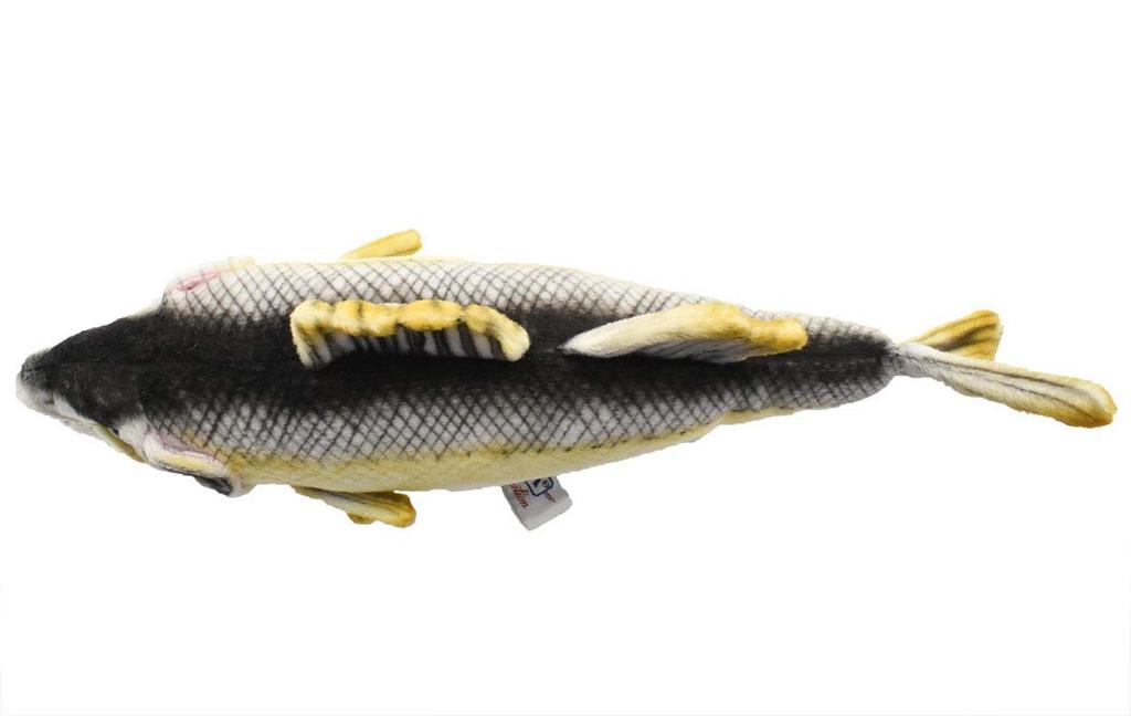Sea Bass No. 6052