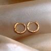 Cubic Zircon Earrings Circle Niche Unique Earrings Female Gold High-level Sense of Ear Buckle Elegant Simple Lightweight Minimalist Hoop Earrings