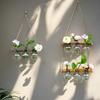 Creative Hydroponic Plant Wall Hanging Glass Vase Garden Wall Decor Flower Arrangement  Home Decoration Party Gift Vase