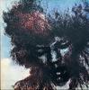LP Record JIMI HENDRIX - Cry Of Love 2302023 POLYDOR 1971 UK Rock Used