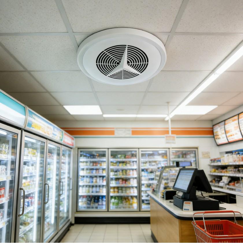 

Tianlai Dual-Use Ceiling & Wall Speaker Set for Supermarkets 811f білий