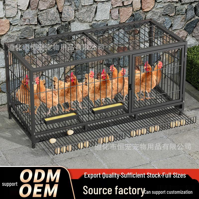 Extra Large Outdoor Chicken Cage with Egg Tray and Secure Enclosure
