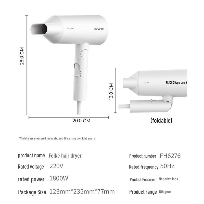 FLYCO High-Power Hair Dryer