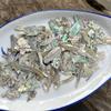 Handmade Natural Abalone Shell Fragments for Jewelry and Nail Art Design