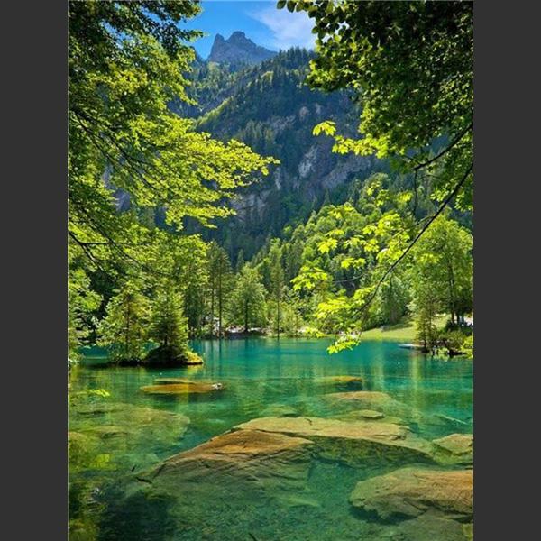 

5D DIY Алмазная картина Лесной пейзаж Алмазная вышивка Набор для вышивки крестом Полный горный хрусталь Мозаика Домашний декор Round 50x70cm