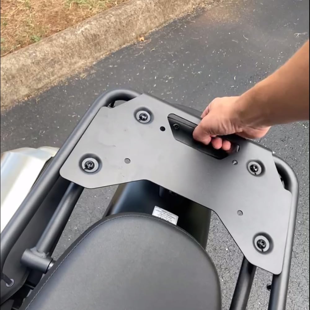 Rear Carrier Grab Bar Carrier Compatible with Honda CL250 CL500