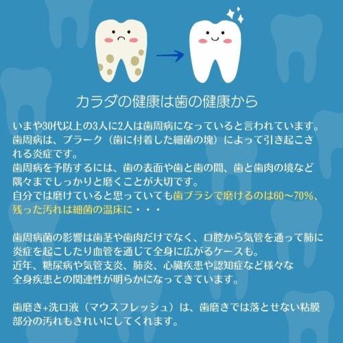 Mouth Fresh Hide (Natural Mouthwash) 500mL (Set of 3)