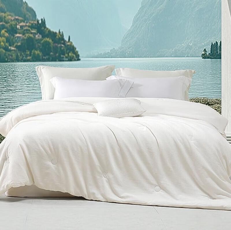 

Mercury Home Textiles 100% Tussah Silk Quilt