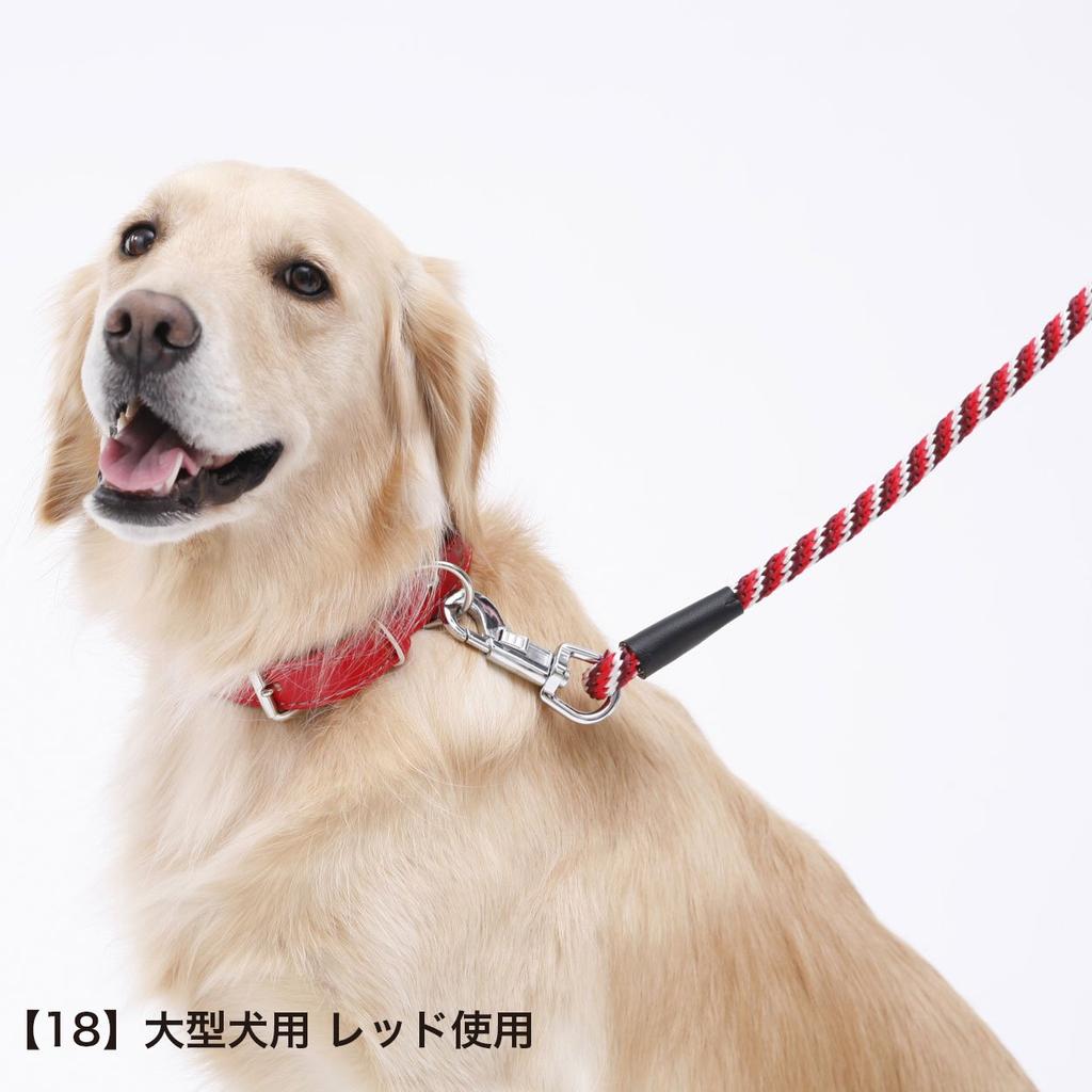 Petio Basic Plus Spiral for Small 10mm Leash, Red, Dogs,