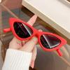 Kid Retro Cat Eye Beach Summer Sunglasses