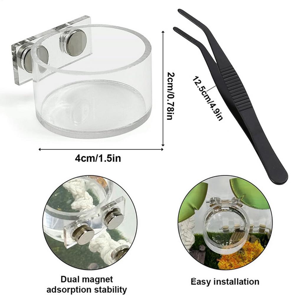 Jumping Spider Feeding Dish Magnetic Water Bowl Jumping Spider Feeding Dish Set for Small Reptile Mantis Tarantula Cage House