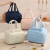 Color Design Solid Lunch Bag With Thermal Function For Office School Outdoor And