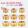 BSP Male To Female Brass Adapter Bushing (1/8”-1”) | 1~10pcs for Fuel, Water, Gas & Oil Systems