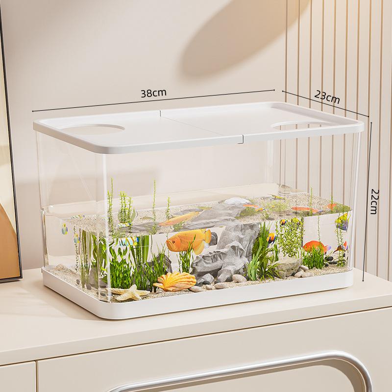 Clear Desktop Fish Tank with Turtle Platform