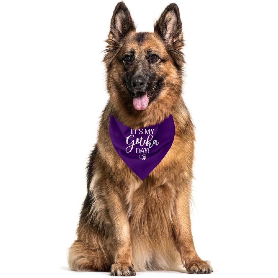 It's My Gotcha Day Dog Bandana, Purple Flannel Dog Bandana, Adoption Day Gifts, Pet Scarf (C55)