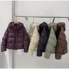 Kapuzen-Daunenjacke Damen Winter 2025 Neue Mode Grau Brotjacke Lässige Kurze Steppjacke