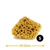 Gąbka do kąpieli - naturalna morska - rozmiar s 10-12cm