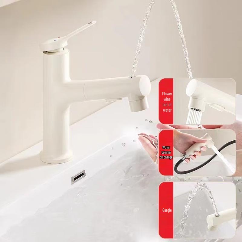 Versatile Pull-Out Kitchen and Bathroom Faucet