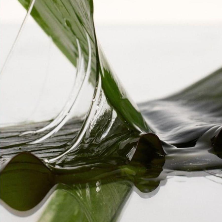 growus Algae Therapy Mineral Shampoo 500g