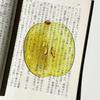 Marque-page en acrylique en forme de fruit Pomme Raisin Simulation Marque-page de lecture transparent Papeterie d'apprentissage Jouet pour enfants Cadeau