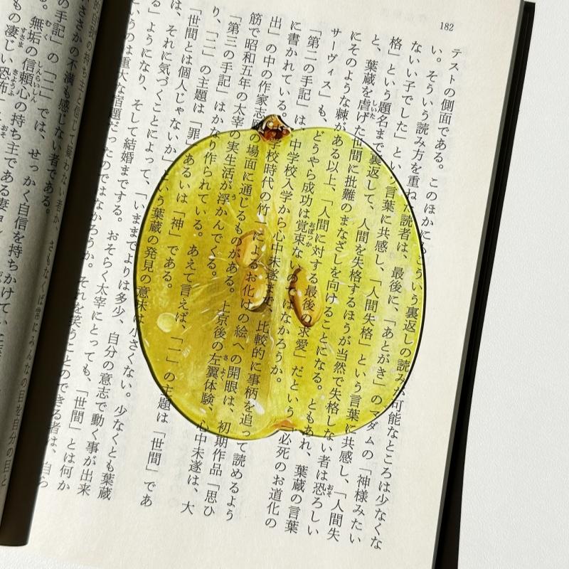 Marque-page en acrylique en forme de fruit Pomme Raisin Simulation Marque-page de lecture transparent Papeterie d'apprentissage Jouet pour enfants Cadeau