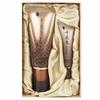 Your Precious 100-year-old Cultivated Ginseng Root BB Cream Gift Set (WA97FF7)