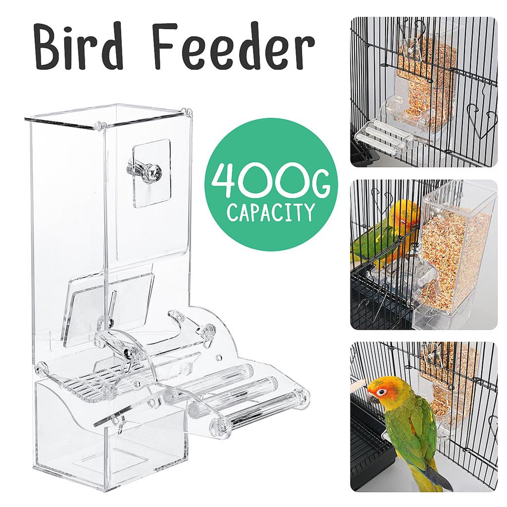 Buy 400g Capacity Automatic Bird Feeder For Pigeons Parrot Starling
