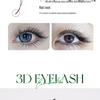 DeceMars Slanted Three-Leaf Clover Fox-Eye Eyelash Extensions - Seamless, Rootless Blooming for Salon-Quality Grafting.