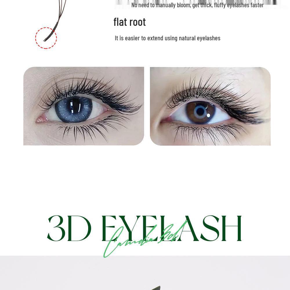 DeceMars Slanted Three-Leaf Clover Fox-Eye Eyelash Extensions - Seamless, Rootless Blooming for Salon-Quality Grafting.