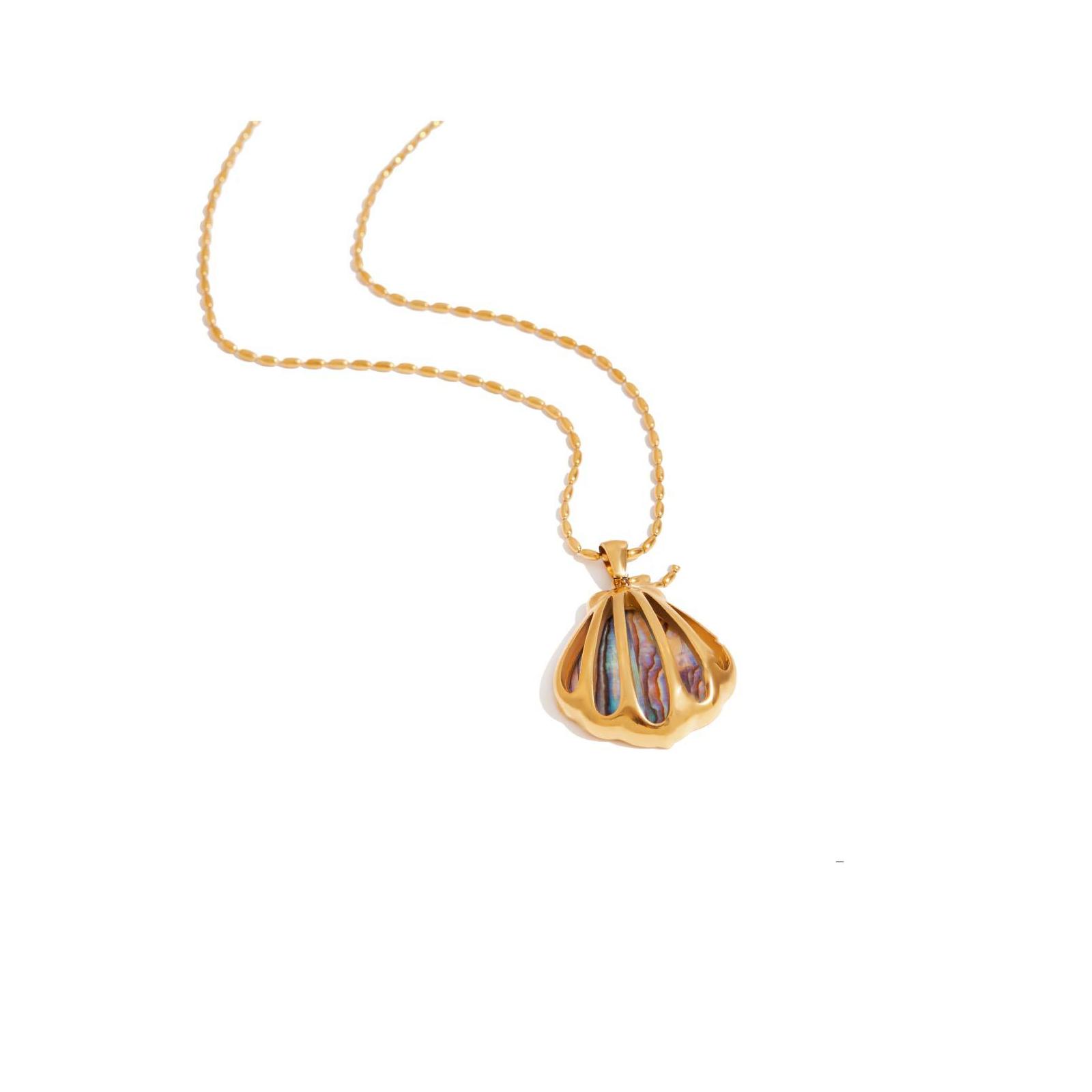 

Unique Marine Themed Jewelry Piece Abalone Shell Stud Earrings Necklace Stylish Neckchain Stainless Steel Accessories