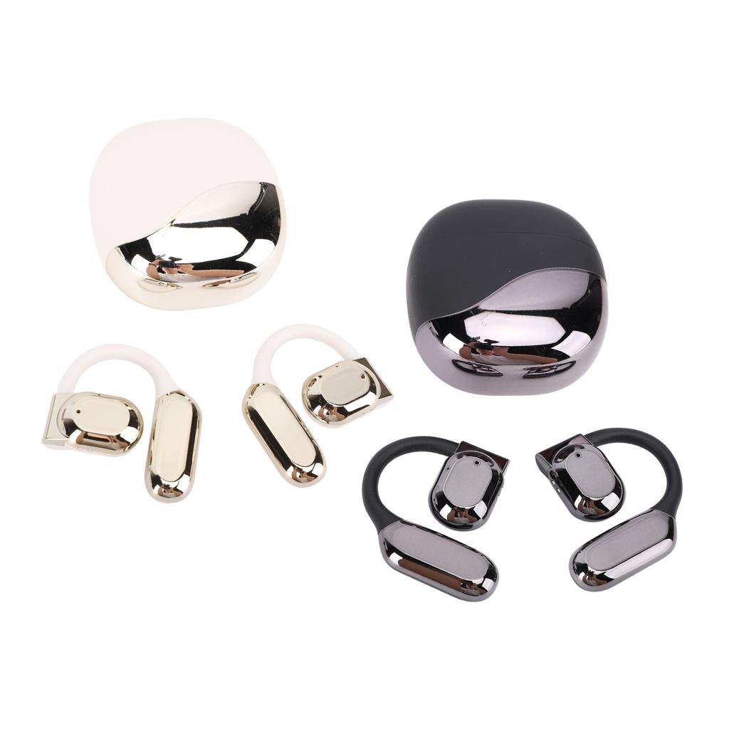 Translation Earbuds Earhook Active Noise Reduction Wireless Bluetooth AI Language Translator Earbuds