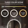 Oval Smart Vanity Bathroom Mirror High Quality Refection Three Color Brightness Dimmer With Anti-fog LED Hotel Bath Mirror
