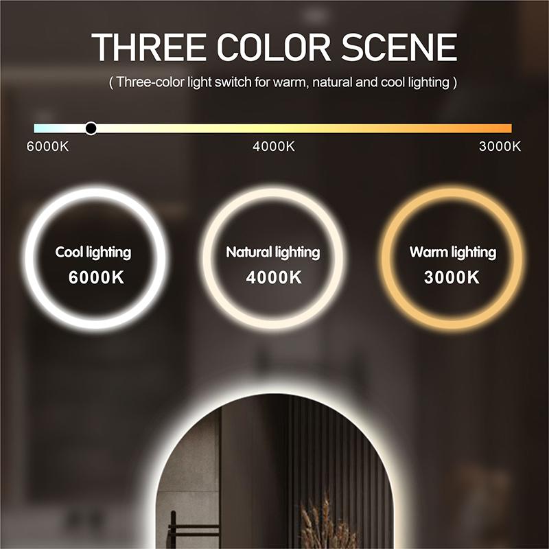Oval Smart Vanity Bathroom Mirror High Quality Refection Three Color Brightness Dimmer With Anti-fog LED Hotel Bath Mirror
