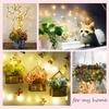 Constant Bright Copper Wire Lamp Battery Box 3m30 Lamp Holiday String Lights