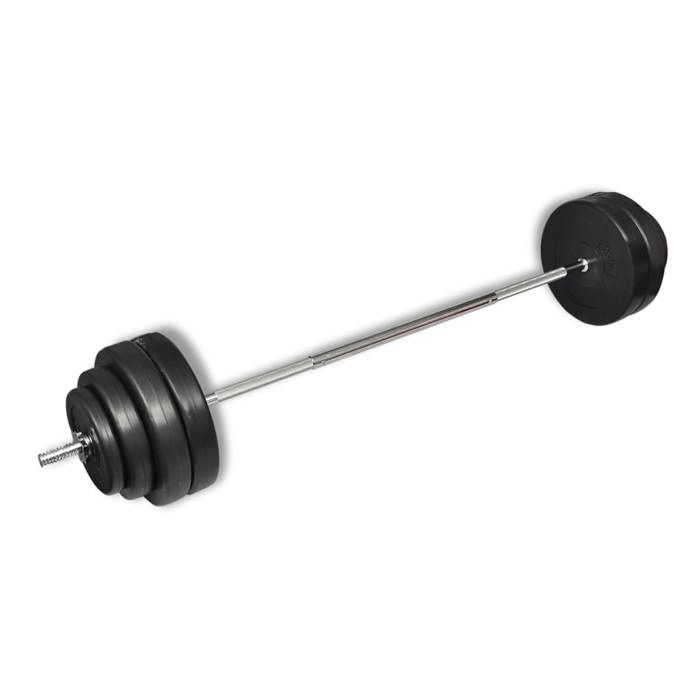 VidaXL Haltère Curl avec Poids Disques à Revêtement Plastique Gymnase Sport 90372