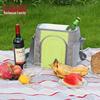 BBQ Family Portable Cooler Bag