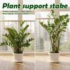 2PCS Half-Ring Plant Support Stakes U-Shaped Flower Support Rack  Potted Plants