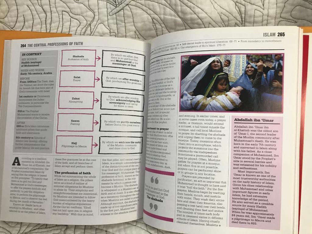 [USED] The Religions Book (A Great Encyclopedia of Religious Studies)