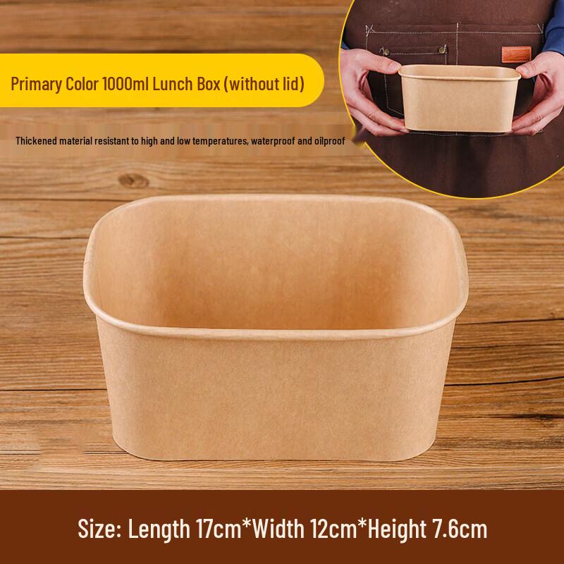 

Disposable Rectangular Paper Picnic Box