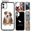 Telefon kapları – Smartphone Bumper Kılıflar