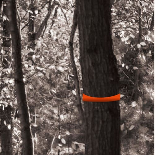 Takagi Marking Tape, Fluorescent Orange, 30mm X 50m