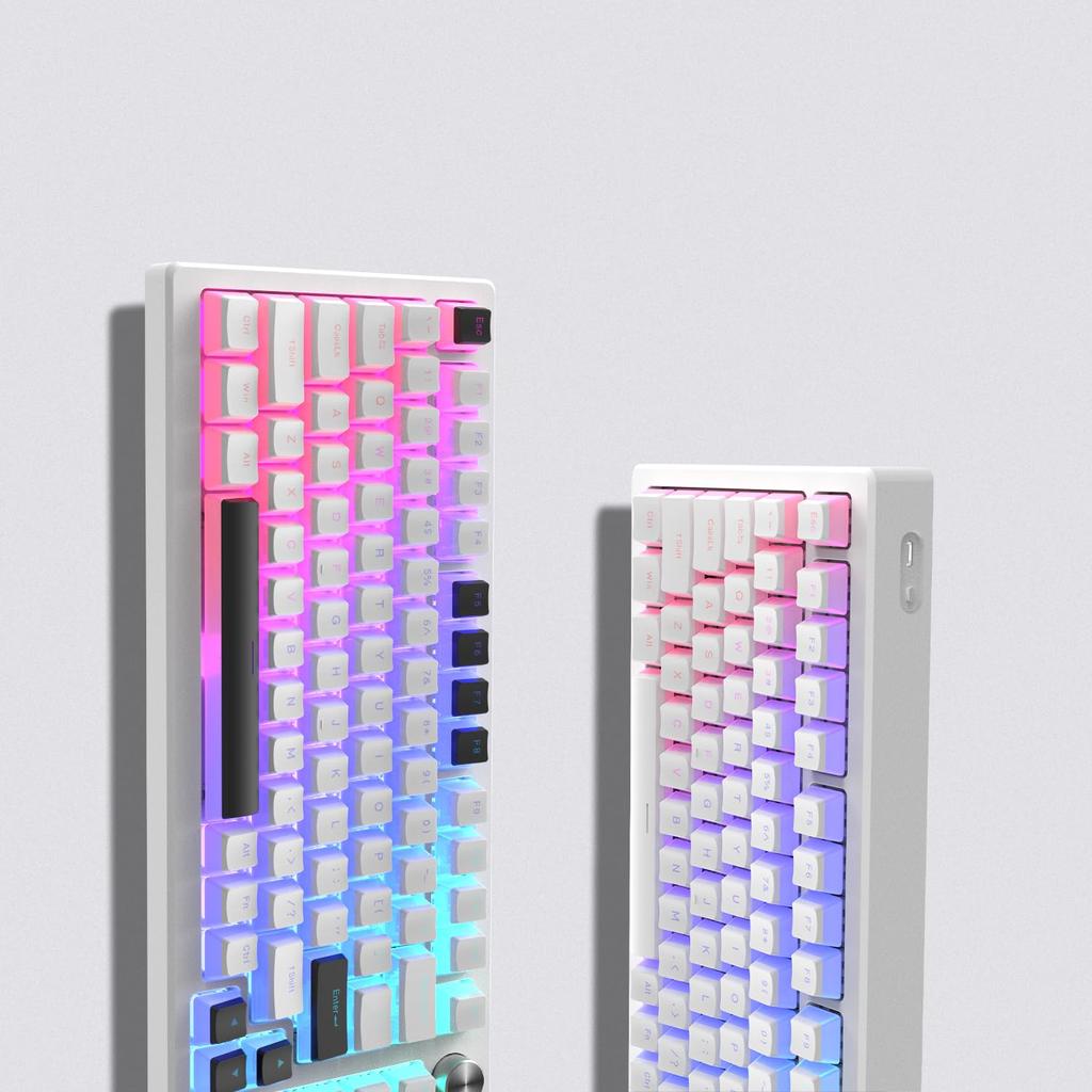 Womier 165-Key Keycap Set, PBT Keycaps, 141 Keys + 24 Keys, Custom Keycaps, OEM Profile, Compatible with 60%, 65%, 75%, and 100% Keyboards,