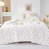 Donna Home Textiles Antibacterial Baby Velvet Ginger Quilt