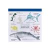 Green Flash STUDYHOLIC Square Memo Pad Marine Biology ST-060 Illustrated Japanese Notepad 100 Sheets 4 Designs School Office Stationery