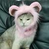 Universal Halloween Lion Costume Hat for Cats & Dogs – Adjustable Velcro, Cute Autumn/Winter Pet Accessory