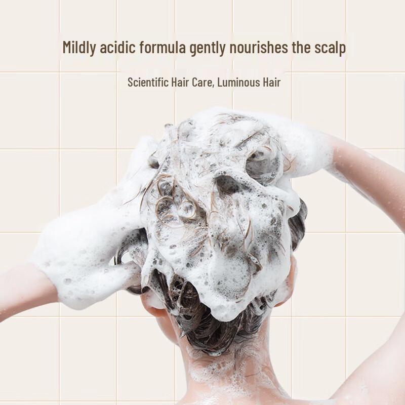 Obeis Herbal Tea Seed Anti-Dandruff Shampoo