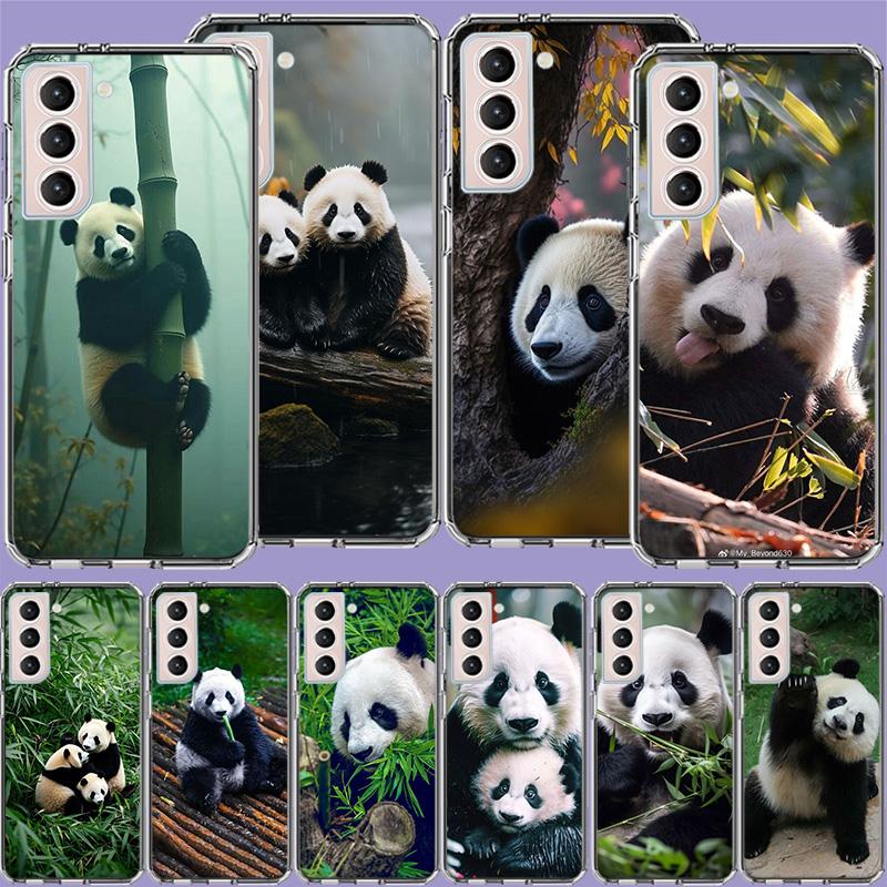 Panda Baby, Giant Panda Family Clear Phone Cases for Samsung S26 Ultra Galaxy S25 Edge S24 S23 FE S21 Plus S20 S22 S10 Cover Pat