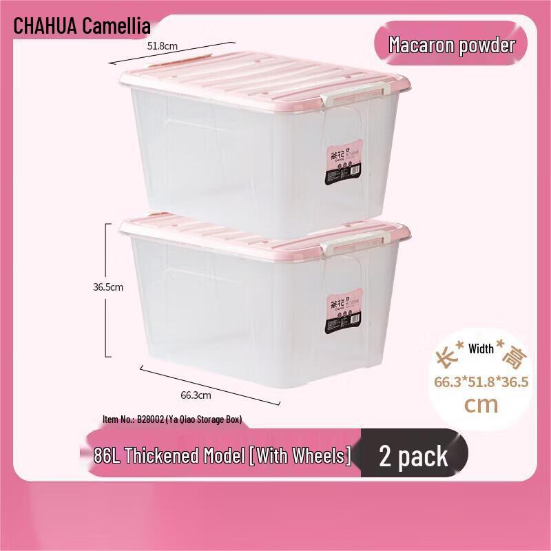 CHAHUA Transparent Frosted Picnic Storage Box
