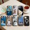 Cool Cat Cute  Phone Case For iPhone 14,16,15,13,17,12,Plus,Pro,Max Magnetic For Magsafe Frosted Cover